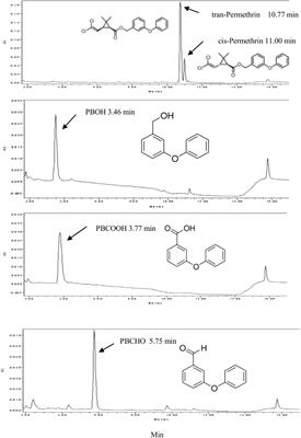 The Central Role of Multiple P450 Genes and Their Co-factor CPR in the Development of <mark class="highlighted">Permethrin</mark> Resistance in the Mosquito Culex quinquefasciatus